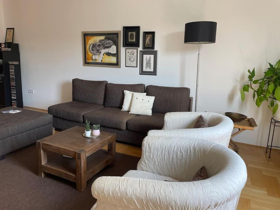 Spacious 3Br/2Bt Apartment With A/C In City Center Zagrzeb Zewnętrze zdjęcie