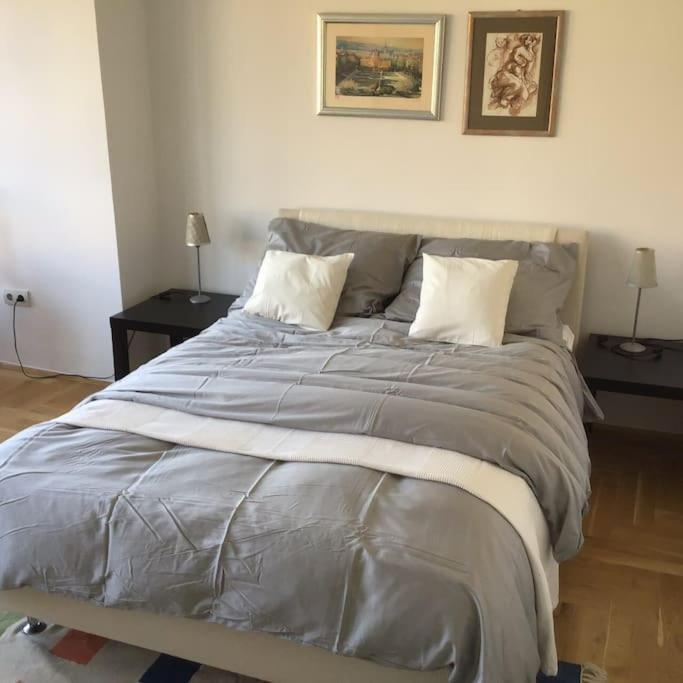 Spacious 3Br/2Bt Apartment With A/C In City Center Zagrzeb Zewnętrze zdjęcie
